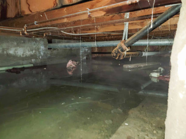 Trusted Yale, MI Water damage restoration Experts