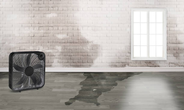  Yale, MI Water damage restoration Pros